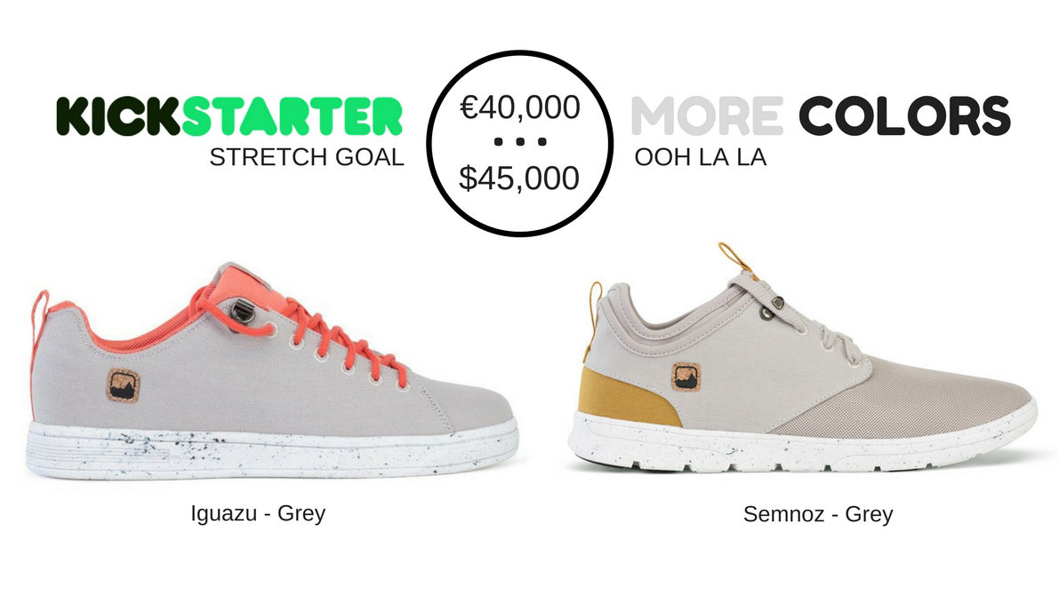 Kickstarter Campaign : 100% funded