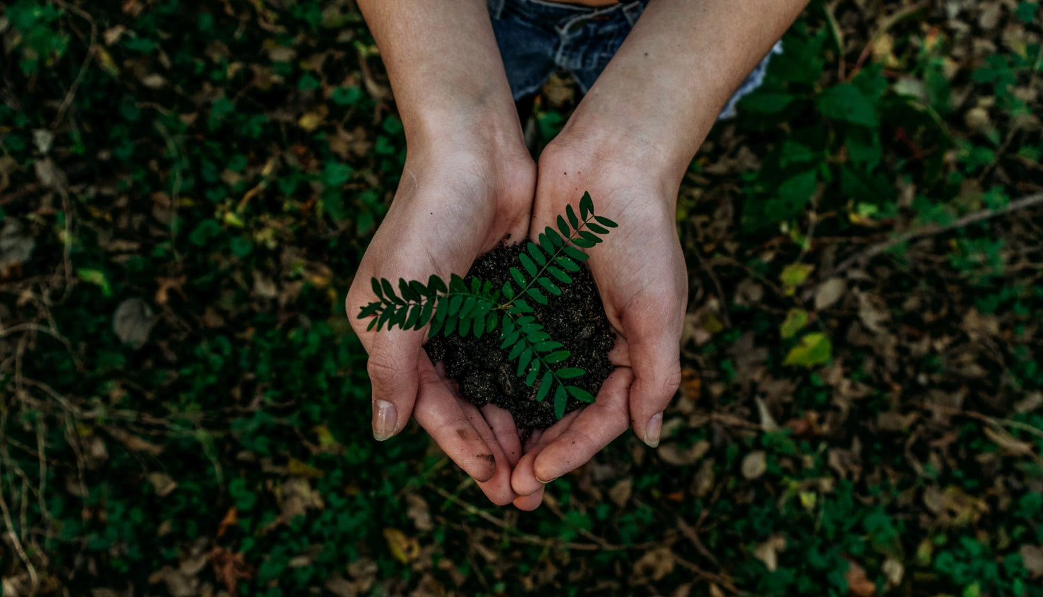 Recycling, downcycling, upcycling … Et SAOLA dans tout ça ?